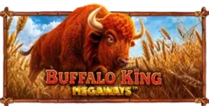 ภาพเกม Buffalo King Megaways ที่ pgs42 รวบรวมไว้
